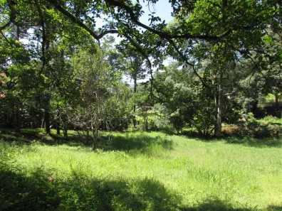 Fazenda/Sítio à venda, 28000m² no Extrema, Extrema