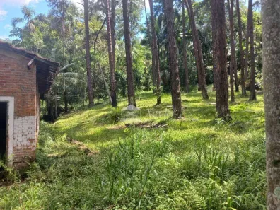 Lote/Terreno à venda, 17232m² no Caete (Mailasqui), São Roque