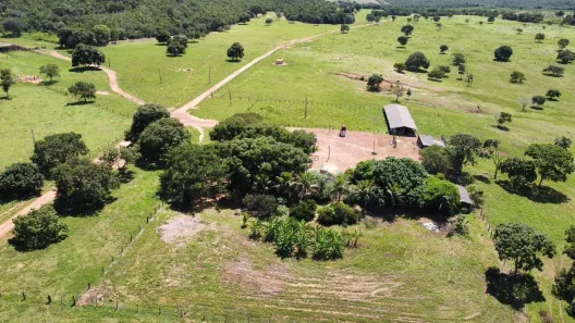 Fazenda/Sítio com 1 Quarto à venda, 787m² no , Nova Xavantina