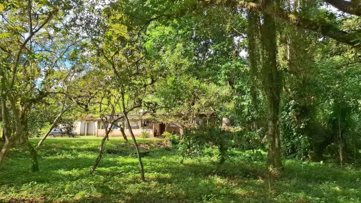 Lote/Terreno com 1 Quarto à venda, 35000m² no Centro, Sete Barras