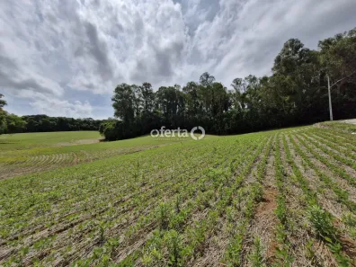 Fazenda/Sítio à venda, 54450m² no Área Rural de Araucária, Araucária