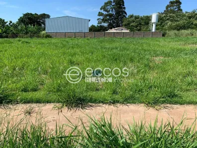 Lote/Terreno à venda, 1000m² no Parque dos Dinossauros, Uberaba