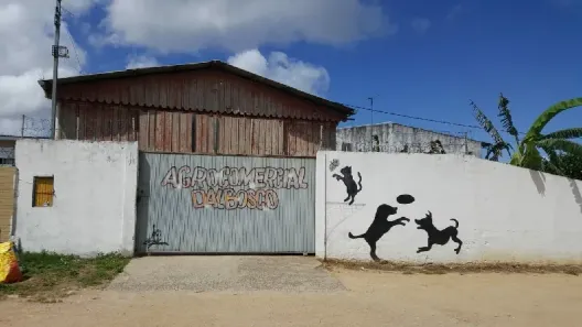 Galpão/Depósito/Armazém com 10 Quartos para alugar, 198m² no Campo Novo, Porto Alegre