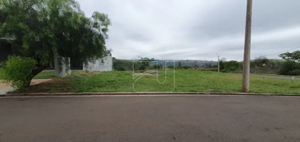 Lote/Terreno à venda, 313m² no Jardim Maria Izabel, Marília