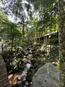 Fazenda/Sítio com 4 Quartos à venda, 47232m² no Área Rural de Biguaçu, Biguaçu