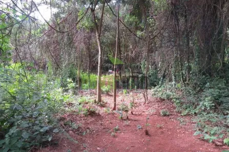 Lote/Terreno à venda, 810m² no Veredas das Geraes, Nova Lima