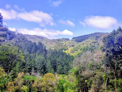 Lote/Terreno à venda, 53601m² no , Angelina