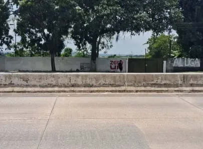 Lote/Terreno à venda, 4800m² no Centro, Paudalho