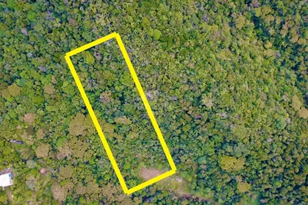 Lote/Terreno à venda, 4215m² no Encantada, Garopaba