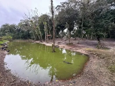 Fazenda/Sítio com 1 Quarto à venda, 60m² no Gaivota (Interior), Itanhaém