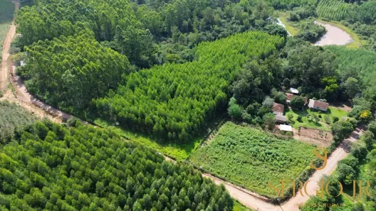 Fazenda/Sítio à venda, 72000m² no , Triunfo