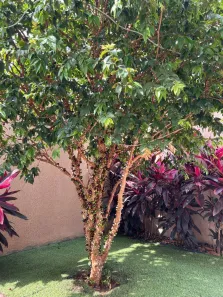 Casa de Condomínio com 4 Quartos à venda, 232m² no Residencial Ibi-Aram, Itupeva