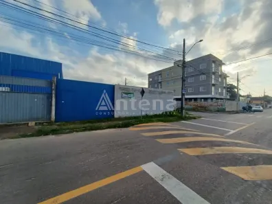 Lote/Terreno para alugar, 416m² no Iná, São José dos Pinhais