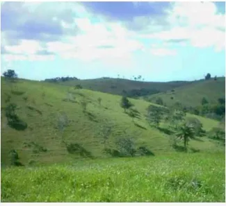 Fazenda/Sítio com 3 Quartos à venda, 4730000m² no , Itanagra
