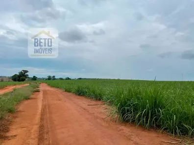 Fazenda/Sítio à venda, 5203000m² no Centro, Araraquara