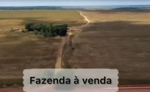 Fazenda/Sítio com 3 Quartos à venda, 4000000m² no Célio Miranda, Paragominas