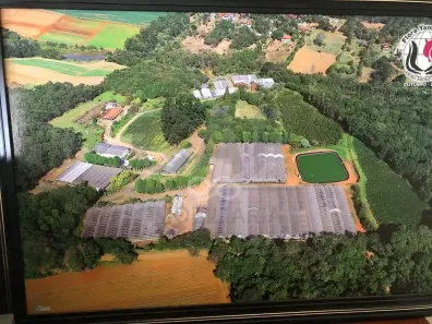 Fazenda/Sítio à venda, 10m² no Zona Rural, Ibiúna