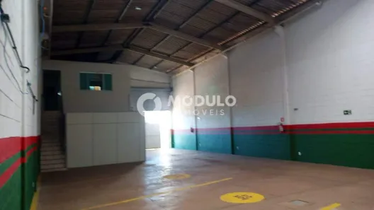 Galpão/Depósito/Armazém para alugar, 300m² no Alto Umuarama, Uberlândia