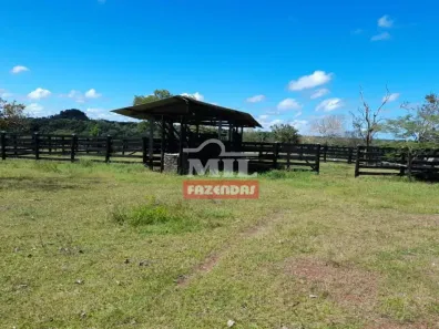 Fazenda/Sítio à venda, 500m² no , Recursolândia