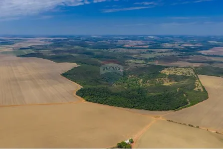 Fazenda/Sítio com 7 Quartos à venda, 2754m² no Setor Central, Novo Planalto