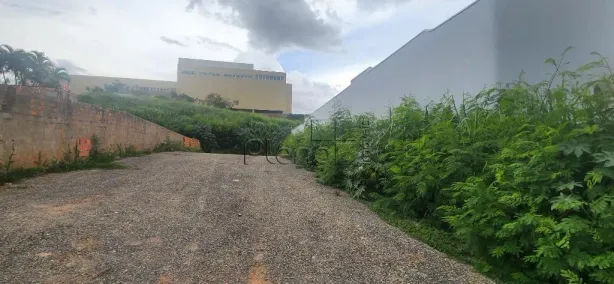 Lote/Terreno para alugar, 484m² no Parque Taquaral, Campinas