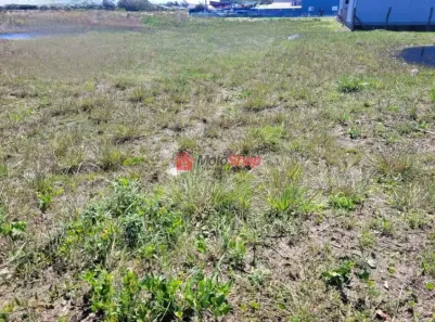 Lote/Terreno à venda, 330m² no Morro dos Conventos, Araranguá