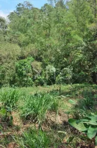 Lote/Terreno à venda, 1174m² no Serra dos Lagos (Jordanésia), Cajamar