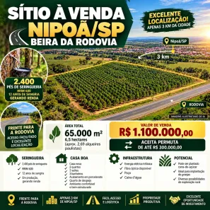 Fazenda/Sítio com 2 Quartos à venda, 65000m² no Centro, Nipoã