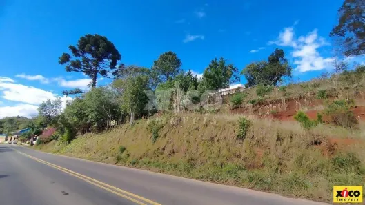 Lote/Terreno à venda, 614m² no Linha Olinda, Nova Petrópolis
