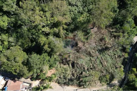 Lote/Terreno à venda, 8000m² no Cruzeiro do Sul, Juiz de Fora