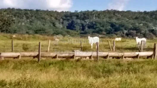 à venda, 5154600m² no , Caiapônia