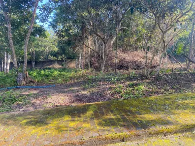 Lote/Terreno à venda, 450m² no Campeche, Florianópolis