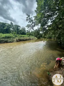 com 3 Quartos à venda, 5000m² no Coxipó do Ouro, Cuiabá