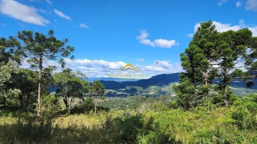 Fazenda/Sítio à venda, 43000m² no , Bocaina do Sul