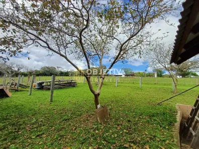 Lote/Terreno à venda, 3700m² no Ponta Grossa, Porto Alegre