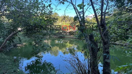 Fazenda/Sítio com 4 Quartos à venda, 24000m² no Salesópolis, Salesópolis