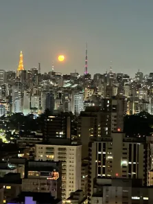 Apartamento com 3 Quartos à venda, 287m² no Jardim Europa, São Paulo