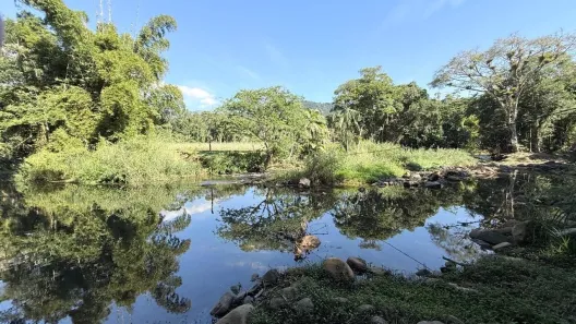 Lote/Terreno à venda, 1500m² no , Morretes