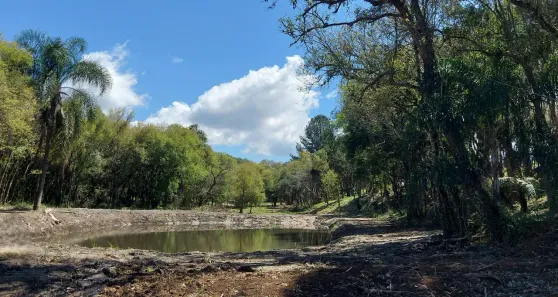 Fazenda/Sítio à venda, 20000m² no Bateias de Baixo, Campo Alegre