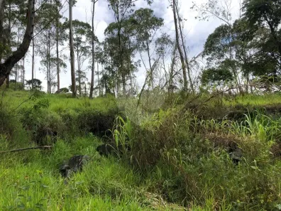 Lote/Terreno à venda, 57790m² no Barreiro, Mairiporã