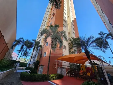 Apartamento com 2 Quartos para alugar, 70m² no Bela Suiça, Londrina