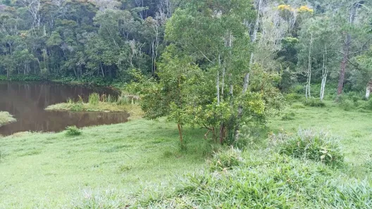 Fazenda/Sítio com 3 Quartos à venda, 500m² no , Salesópolis