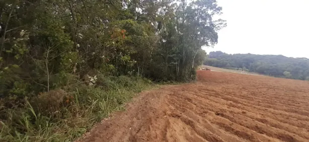 Lote/Terreno à venda, 98000m² no , Piedade