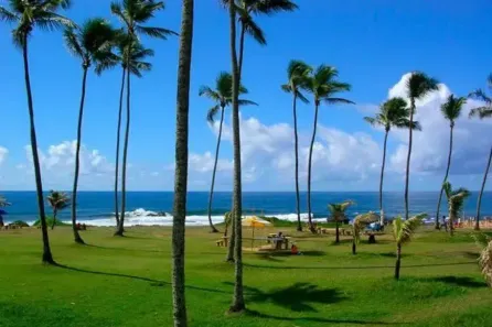 Apartamento com 1 Quarto para alugar, 26m² no Costa Azul, Salvador