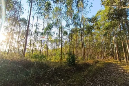 Lote/Terreno à venda, 20968m² no Sebastiana, Teresópolis