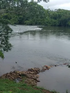 Fazenda/Sítio com 5 Quartos à venda, 20000m² no , Nobres