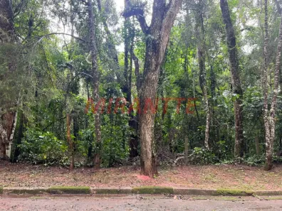Lote/Terreno à venda, 22564m² no Caraguatá, Mairiporã