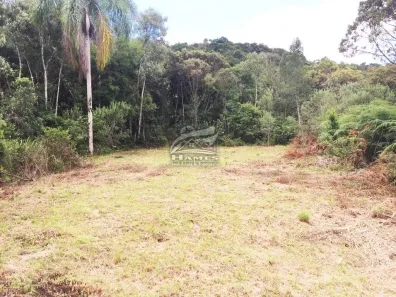 Lote/Terreno à venda, 270690m² no , Angelina