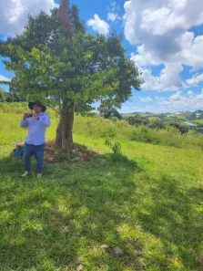 Lote/Terreno com 1 Quarto à venda, 121m² no Camanducaia, Camanducaia
