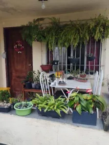 Lote/Terreno à venda, 240m² no Nova Gerty, São Caetano do Sul